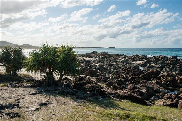 Hastings Point (26/07/2017)