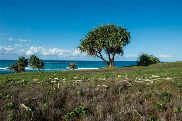 Hastings Point (30/05/2017 - Credits: Colin McDougall)