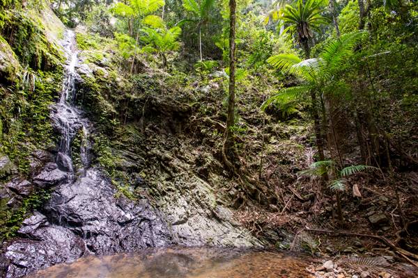 Tunsted Private Property Crystal Creek Valley (1/06/2017 - Credits: Colin McDougall)