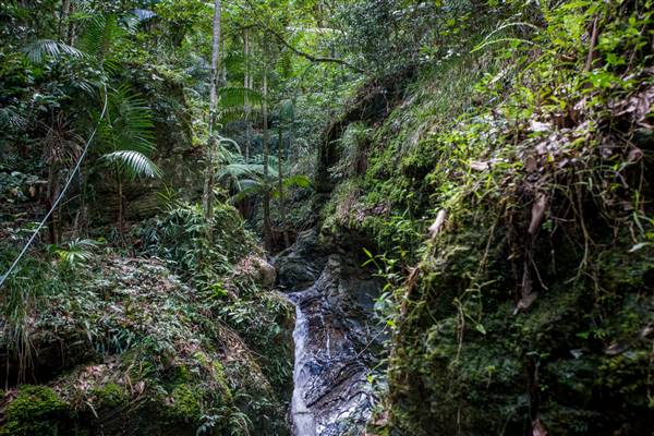 Tunsted Private Property Crystal Creek Valley (1/06/2017 - Credits: Colin McDougall)