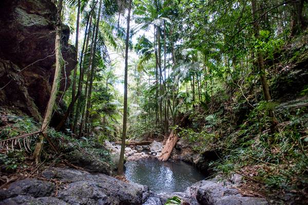 Tunsted Private Property Crystal Creek Valley (1/06/2017 - Credits: Colin McDougall)