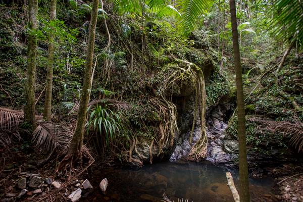 Tunsted Private Property Crystal Creek Valley (1/06/2017 - Credits: Colin McDougal)