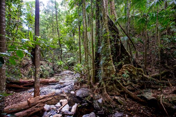 Tunsted Private Property Crystal Creek Valley (1/06/2017 - Credits: Colin McDougal)