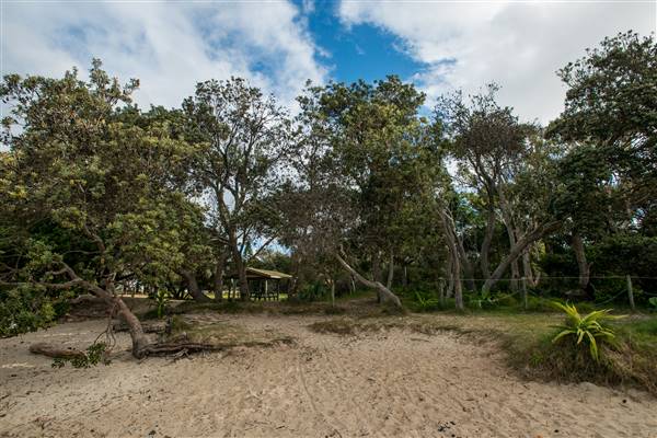 Brunswick Head Estuaries 2017 (27/07/2017 - Credits: Colin McDougall)
