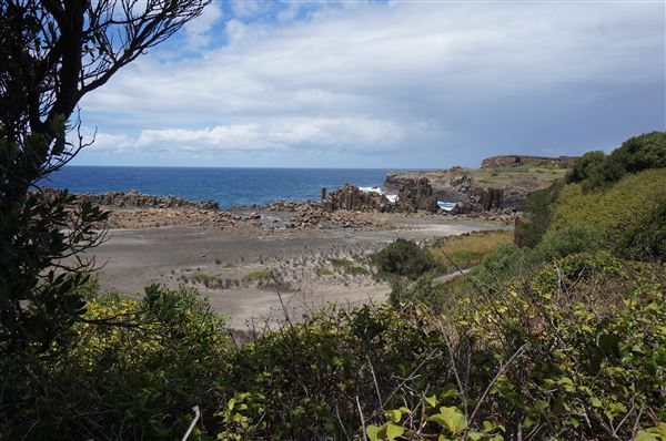 Bombo Headland Quarry (2/02/2018 - Credits: Mary Barltrop)