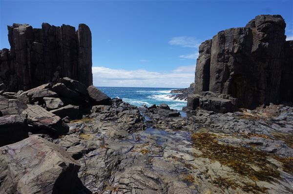 Bombo Headland Quarry (2/02/2018 - Credits: Mary Barltrop)