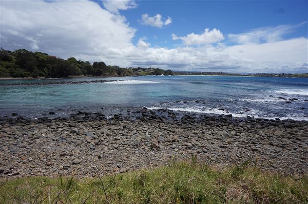 Cameron Boyd Reserve (2/02/2018 - Credits: Mary Barltrop)