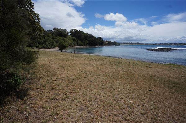 Cameron Boyd Reserve (2/02/2018 - Credits: Mary Barltrop)