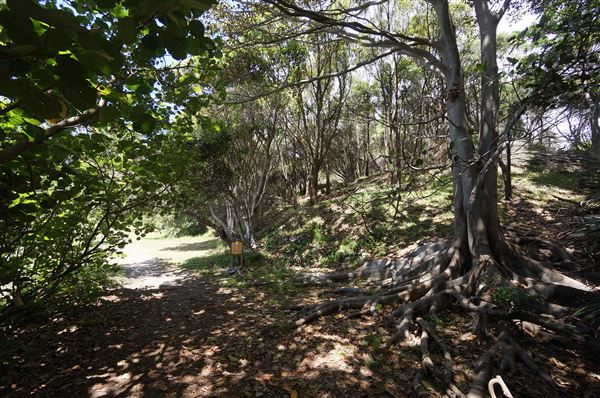 Cameron Boyd Reserve (2/02/2018 - Credits: Mary Barltrop)