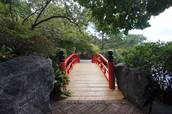Auburn Botanic Gardens - Japanese Garden (4/02/2018 - Credits: Mary Barltrop)
