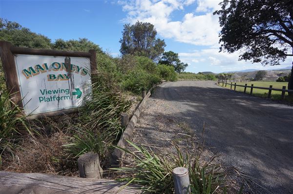 Bass Point Reserve (2/02/2018 - Credits: Mary Barltrop)
