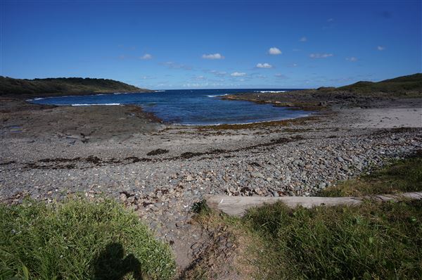 Bass Point Reserve (2/02/2018 - Credits: Mary Barltrop)