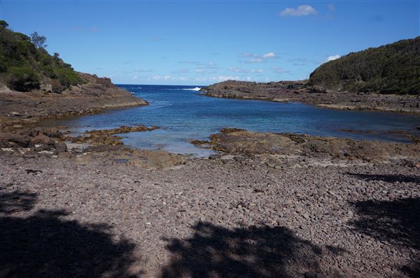Bass Point Reserve (2/02/2018 - Credits: Mary Barltrop)