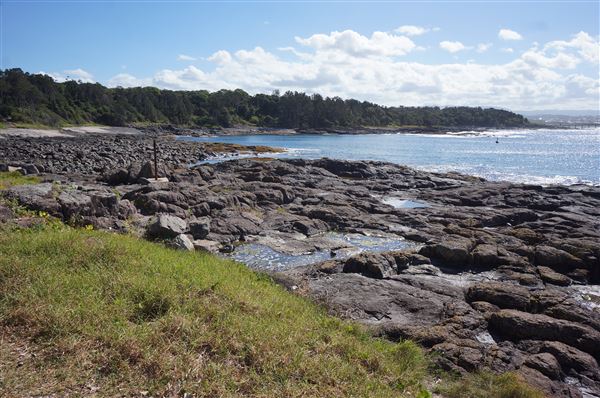Bass Point Reserve (2/02/2018 - Credits: Mary Barltrop)