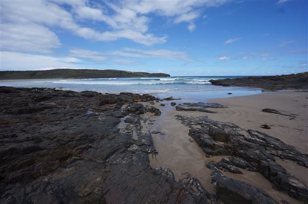 Killalea Regional Park (2/02/2018 - Credits: Mary Barltrop)