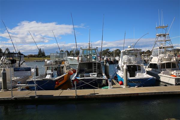 Bermagui (4/08/2018 - Credits: Lisa Scope)