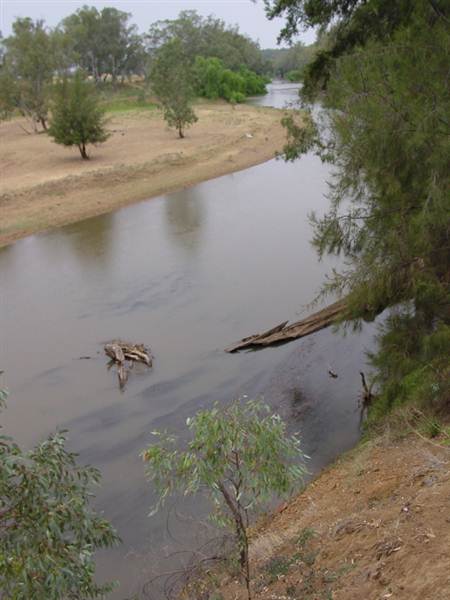 Whylandra Crossing, Dubbo (22/08/2018 10:29:42 PM)