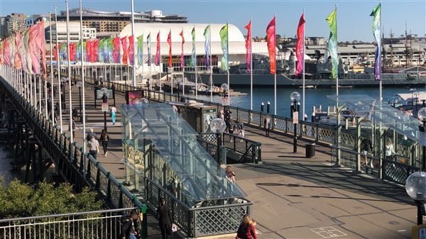 Darling Harbour (15/08/2018 - Credits: Shannon Wheeler)