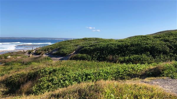 Kamay Botany Bay National Park (23/05/2018 - Credits: Shannon Wheeler)