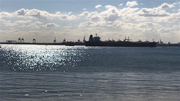 Kurnell Neighbourhood (23/05/2018 - Credits: Shannon Wheeler)