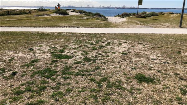 Kurnell Neighbourhood (23/05/2018 - Credits: Shannon Wheeler)