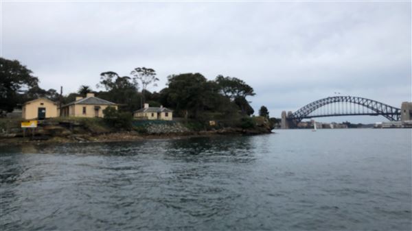 Goat Island (31/08/2018 - Credits: Shannon Wheeler)