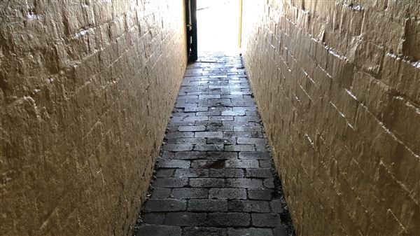 Playfair Street Buildings (5/09/2018 - Credits: Shannon Wheeler)