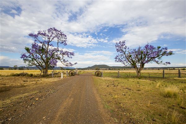 Narrabri Shire (21/09/2017 - Credits: Shane Strudwick)
