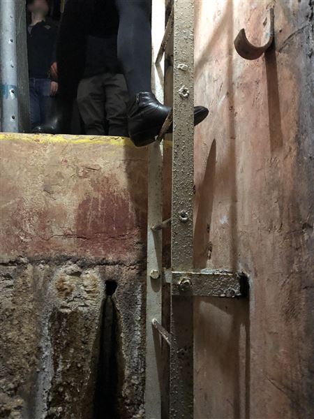 North Head Sanctuary - North Fort Tunnel & Fortifications (31/08/2018 - Credits: Cheryl Conway)