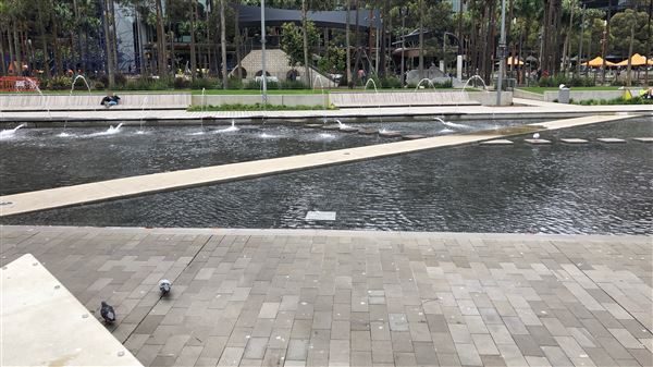 Darling Harbour (26/10/2018 - Credits: Shannon Wheeler)