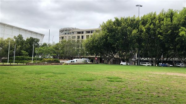 Pyrmont Bay Park (26/10/2018 - Credits: Shannon Wheeler)