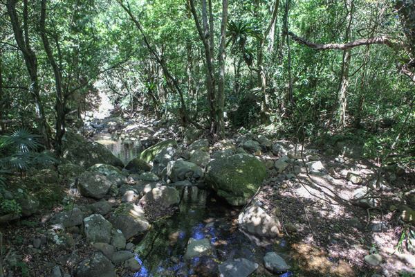 Minnamurra Rainforest Walk - Budderoo National Park (30/10/2018)