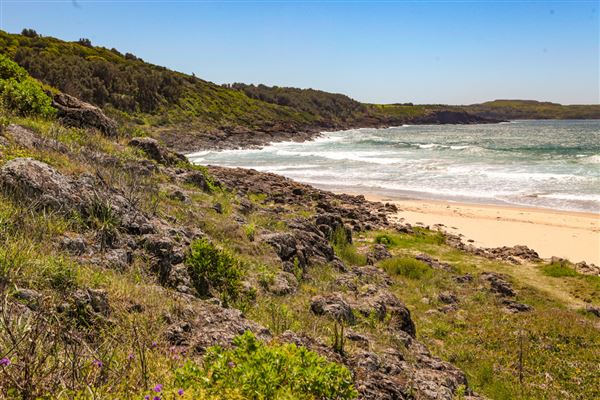 Mystics Beach (Minnamurra Beach) - Killalea State Park (30/10/2018)