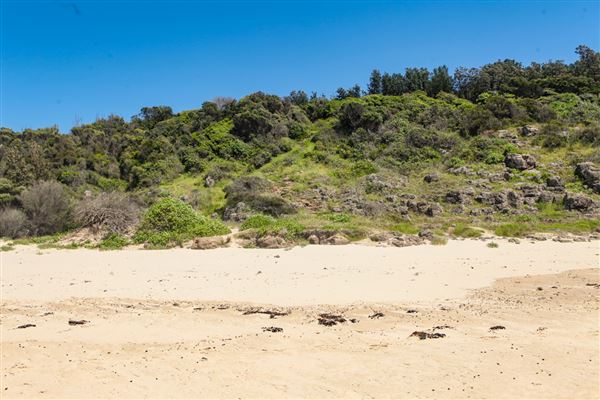 Mystics Beach (Minnamurra Beach) - Killalea State Park (30/10/2018)