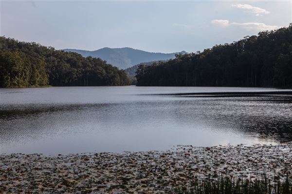 Clarrie Hall Dam (1/11/2018)