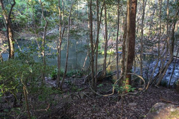 Clarrie Hall Dam (1/11/2018)