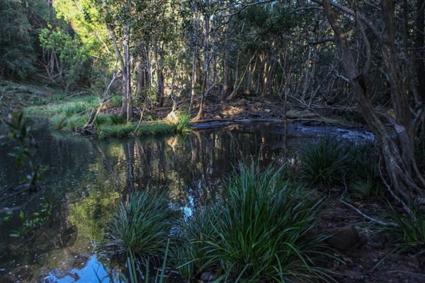 Clarrie Hall Dam (1/11/2018)