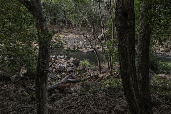 Clarrie Hall Dam (1/11/2018)
