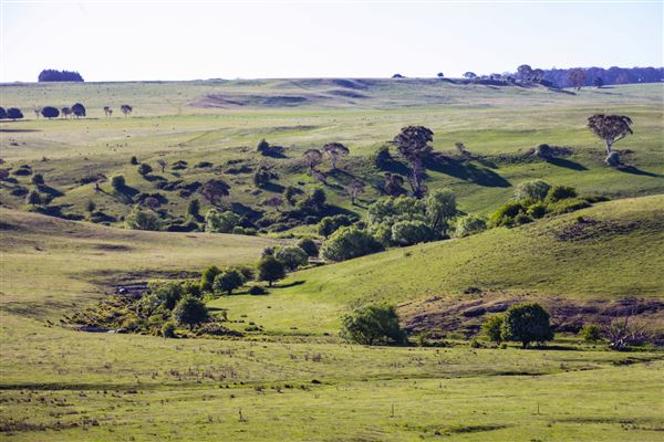 Taralga countryside (31/10/2018)