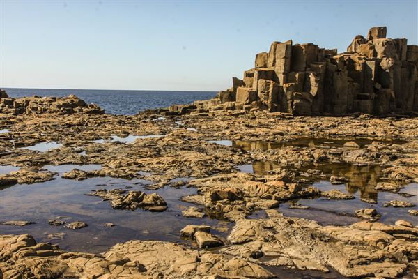Bombo Headland Quarry (30/10/2018 - Credits: Chris Reynolds)