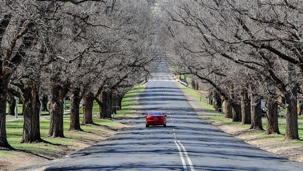 Armidale (20/09/2018 - Credits: Colin McDougall)