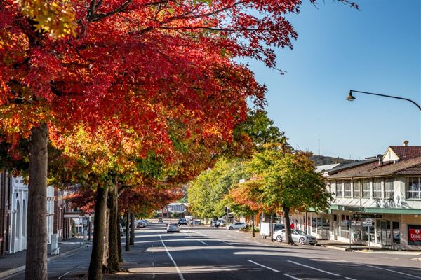 Goulburn Streetscapes (14/04/2019)