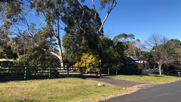 Milton Houses (28/07/2019 - Credits: Shannon Wheeler)