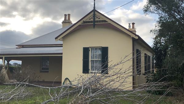Milton Houses (28/07/2019 - Credits: Shannon Wheeler)