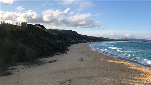 Tura Beach (26/09/2019 - Credits: Shannon Wheeler)