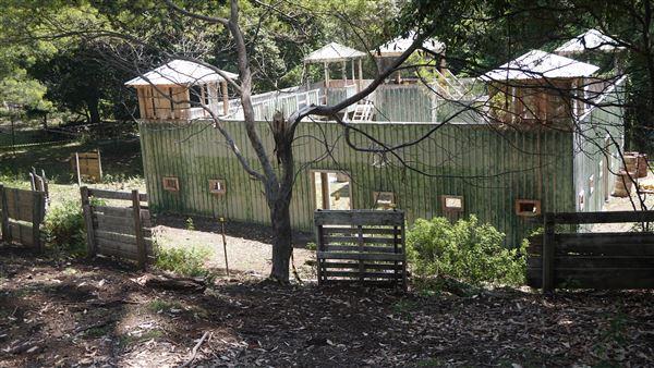 Otford Farm - Paintball Property (19/11/2019 - Credits: Screen NSW)