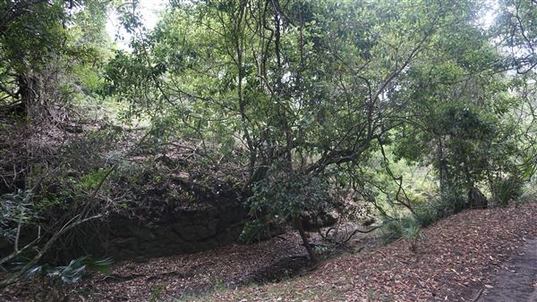 Otford Farm - The Pines Paddock with Jungle Gully (19/11/2019 - Credits: Screen NSW)