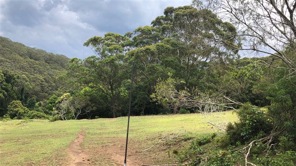 Otford Farm - The Pines Paddock with Jungle Gully (19/11/2019 - Credits: Screen NSW)