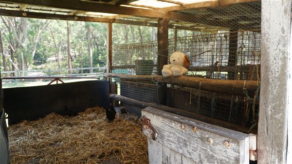Otford Farm - Horse Farm (19/11/2019 - Credits: Screen NSW)