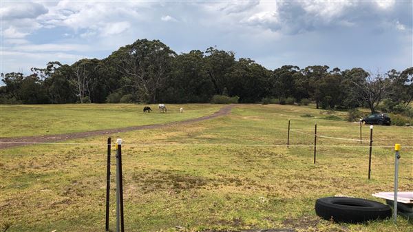 Otford Farm - Crazy T Farm (19/11/2019 - Credits: Screen NSW)